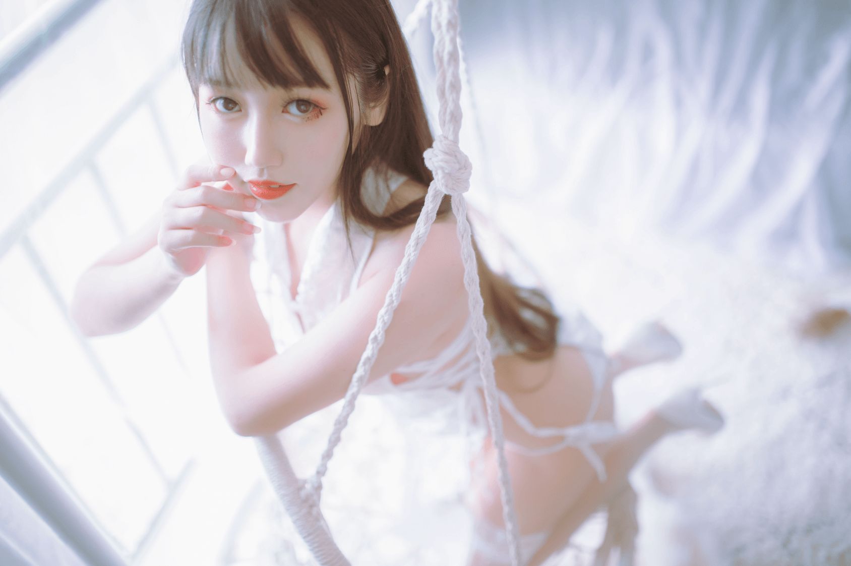 不呆猫(不槑猫) - 最新全套写真合集